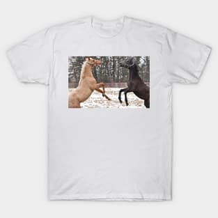 Thoroughbred foals synchronized rear T-Shirt